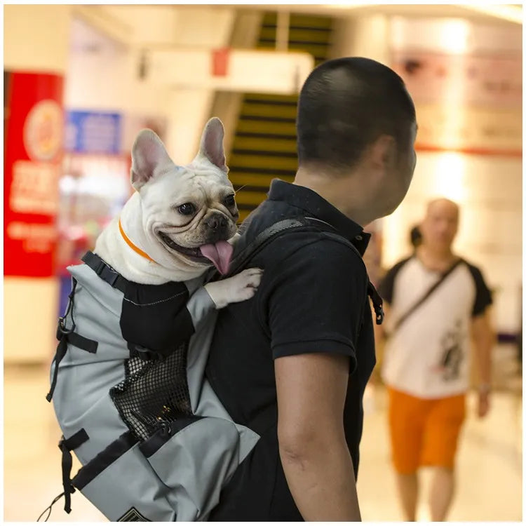 Breathable Pet Dog Carrier Backpack, Outdoor Travel Bag for Hiking, Cycling & Motorcycle Rides Breathable Pet Dog Carrier Backpack, Outdoor Travel Bag for Hiking, Cycling & Motorcycle Rides