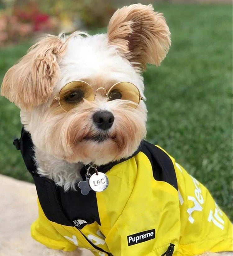 Waterproof Dog Jacket, Reflective Outdoor Pet Raincoat for Small to Large Dogs Waterproof Dog Jacket, Reflective Outdoor Pet Raincoat for Small to Large Dogs