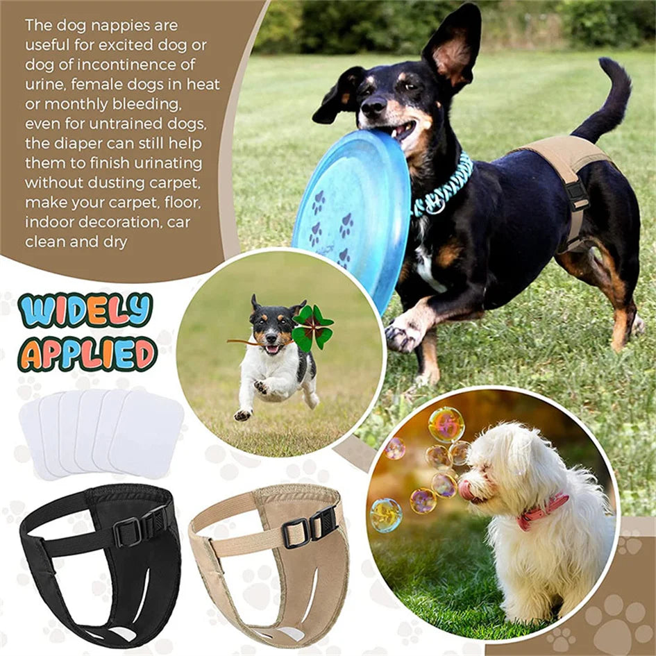 Female Dog Washable Diaper Pants with 8 Sanitary Pads, Anti-Harass Physiological Nappies Female Dog Washable Diaper Pants with 8 Sanitary Pads, Anti-Harass Physiological Nappies