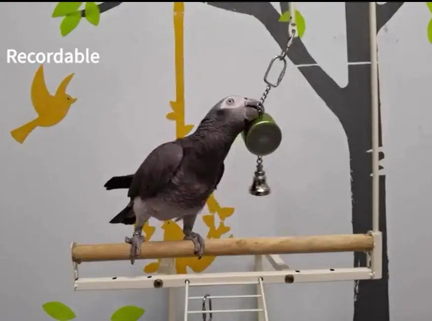 Interactive Talking Training Toy for Parrots — Voice Recording & Playback Interactive Talking Training Toy for Parrots — Voice Recording & Playback