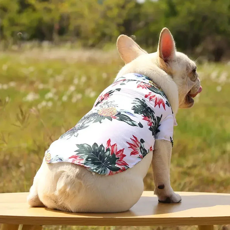 Hawaiian Style Summer Dog Shirt, Beachwear for Small & Medium Dogs, Puppies, and Cats Hawaiian Style Summer Dog Shirt, Beachwear for Small & Medium Dogs, Puppies, and Cats