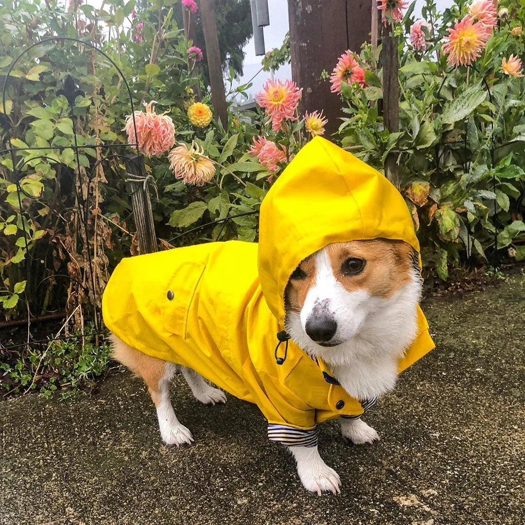 Dog Raincoat with Hood, Reflective Zip-Up Pet Jacket Windbreaker, S-5XL Large Breed Dog Raincoat with Hood, Reflective Zip-Up Pet Jacket Windbreaker, S-5XL Large Breed