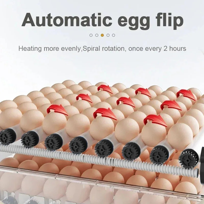 12/15/24 Egg Automatic Poultry Incubator with Waterbed & Temperature Control 12/15/24 Egg Automatic Poultry Incubator with Waterbed & Temperature Control