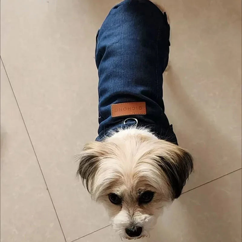 Warm Dog Hoodie Jacket for Small & Medium Dogs, Pet Coat with Hook Closure Warm Dog Hoodie Jacket for Small & Medium Dogs, Pet Coat with Hook Closure