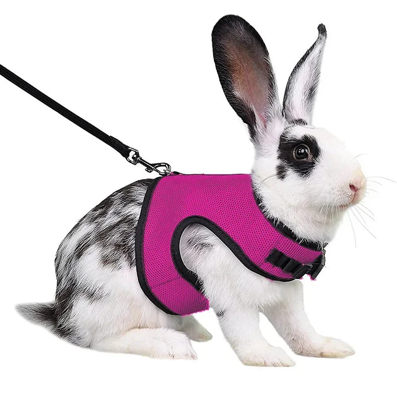 Multi-Color Breathable Vest & Adjustable Harness with Leash for Small Pets Multi-Color Breathable Vest & Adjustable Harness with Leash for Small Pets
