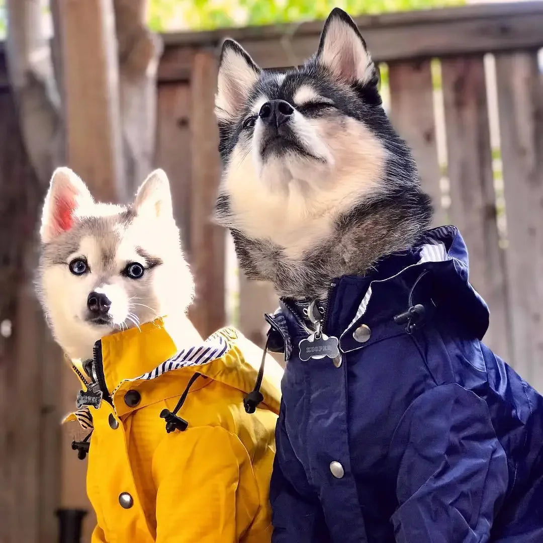 Dog Raincoat with Hood, Reflective Zip-Up Pet Jacket Windbreaker, S-5XL Large Breed Dog Raincoat with Hood, Reflective Zip-Up Pet Jacket Windbreaker, S-5XL Large Breed