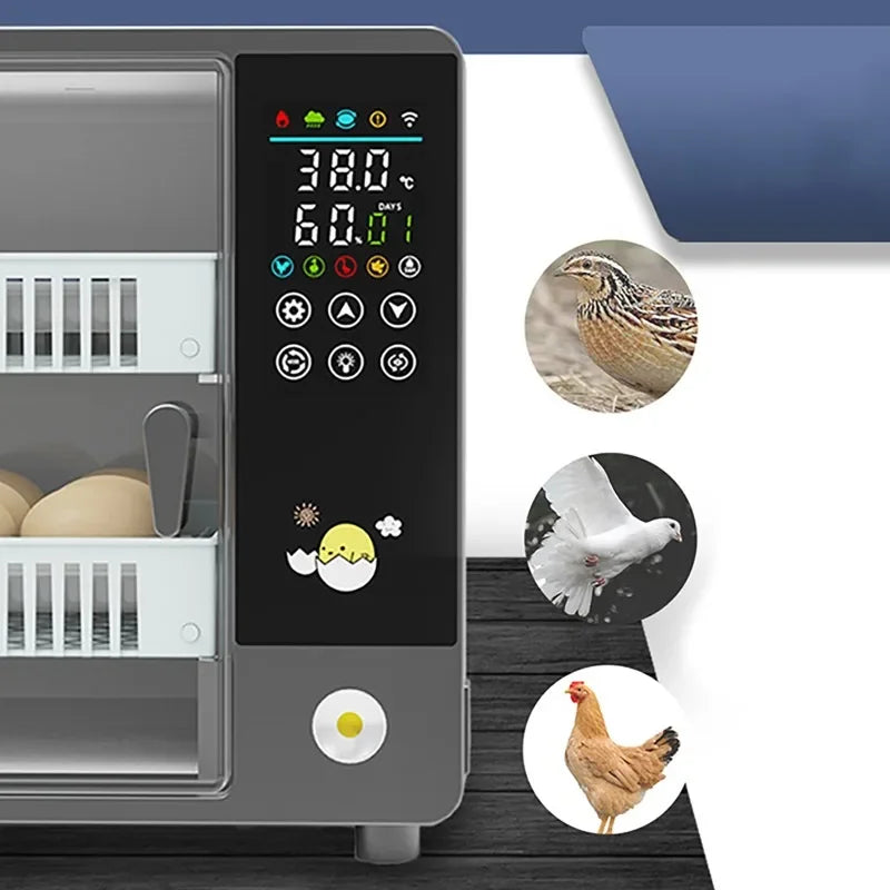 24 Egg Automatic Incubator with Digital Temperature Control for Poultry and Birds 24 Egg Automatic Incubator with Digital Temperature Control for Poultry and Birds