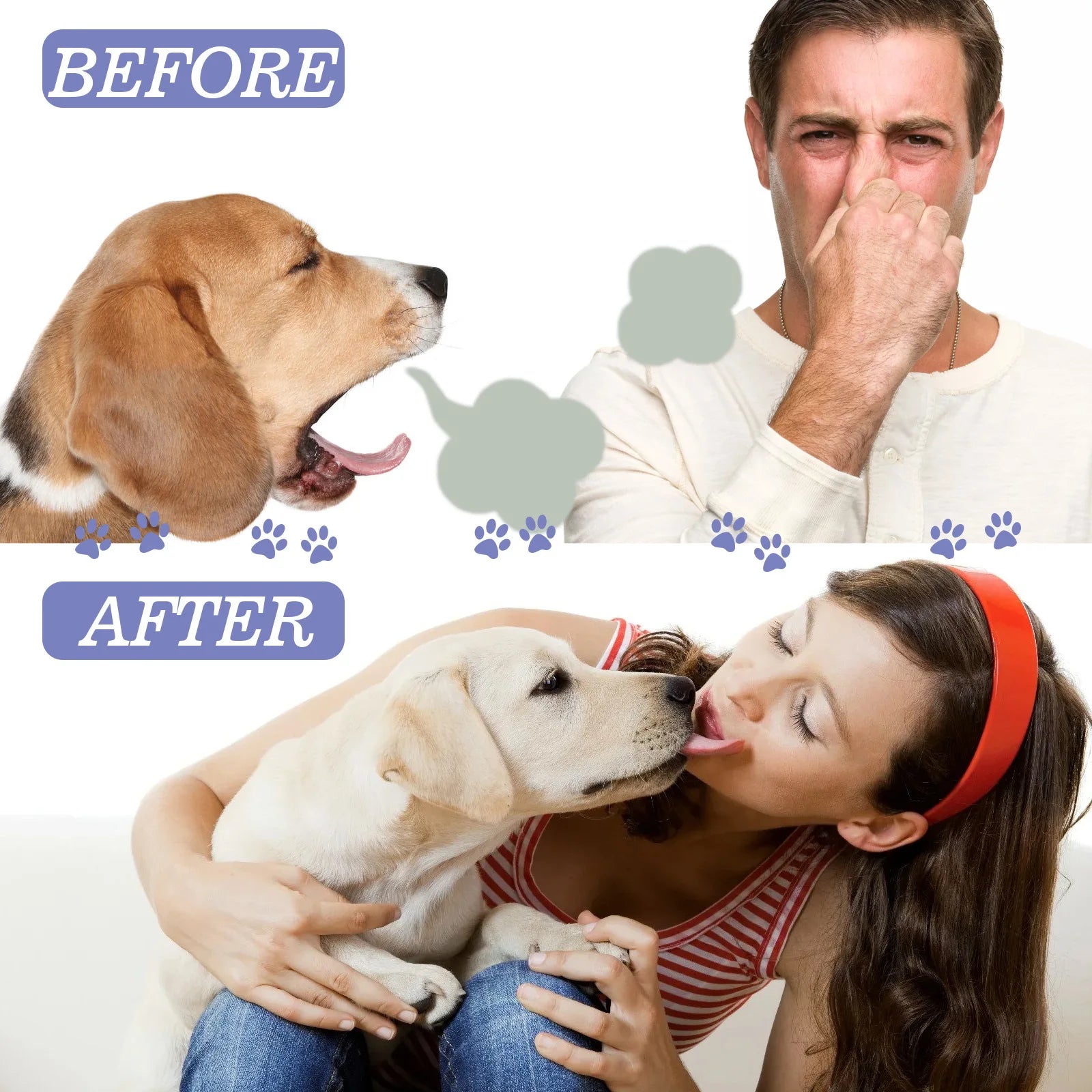 Pet Oral Cleanse Spray – Teeth Whitening, Fresh Breath & Plaque Prevention Spray for Dogs Pet Oral Cleanse Spray – Teeth Whitening, Fresh Breath & Plaque Prevention Spray for Dogs