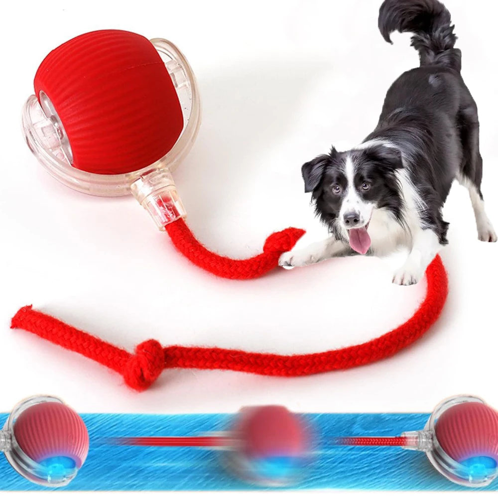 Rechargeable Smart Rolling Pet Toy Ball Rechargeable Smart Rolling Pet Toy Ball