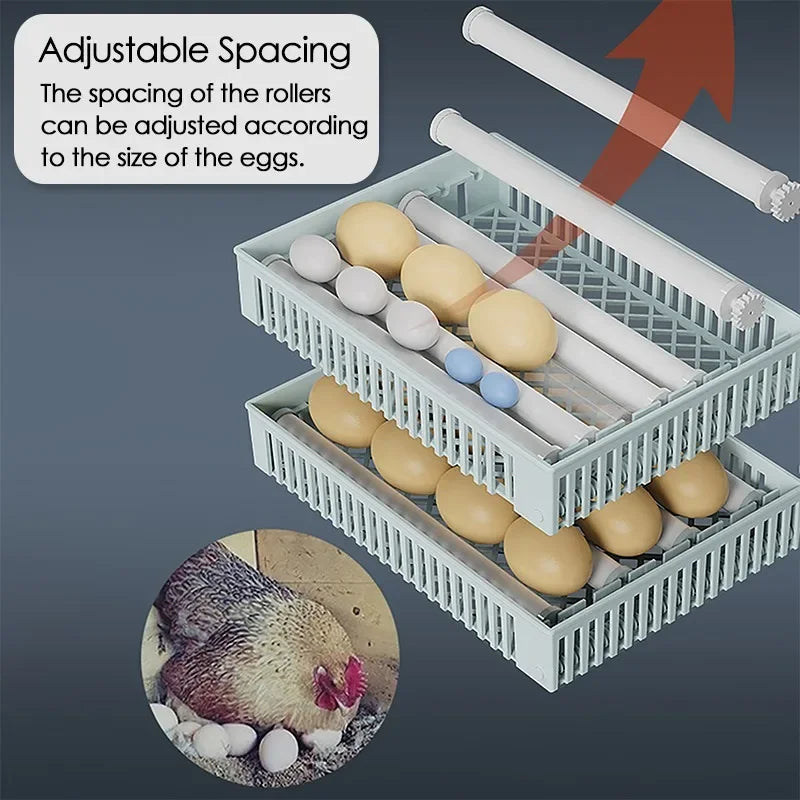 24 Egg Automatic Incubator with Digital Temperature Control for Poultry and Birds 24 Egg Automatic Incubator with Digital Temperature Control for Poultry and Birds