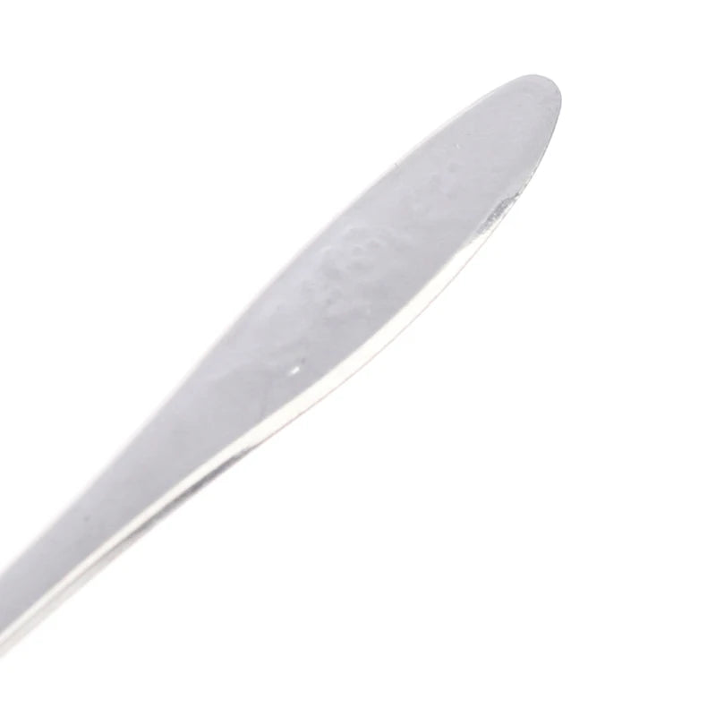 Baby Bird Feeding Spoons – Stainless Steel Milk & Medicine Feeder for Parrots Baby Bird Feeding Spoons – Stainless Steel Milk & Medicine Feeder for Parrots