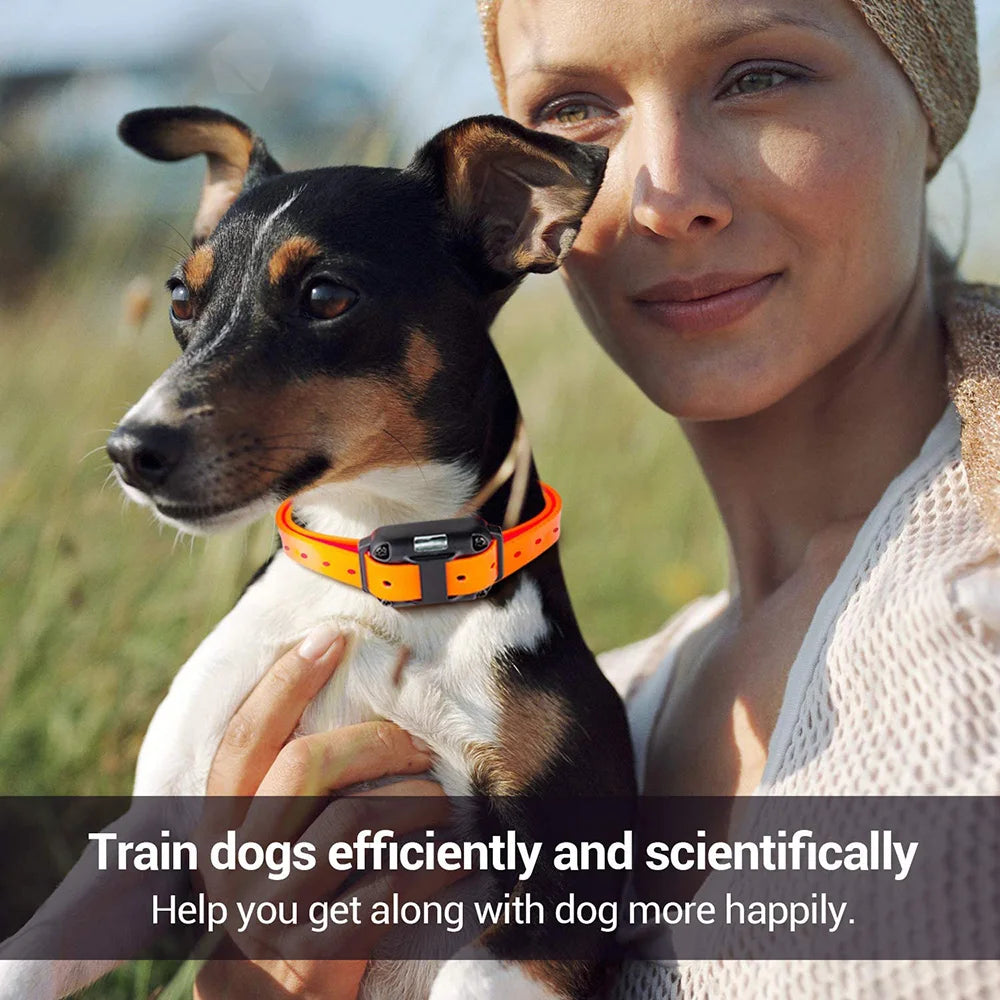 Anti-Bark Dog Training Collar — Rechargeable Shock, Vibration & Clicker Set Anti-Bark Dog Training Collar — Rechargeable Shock, Vibration & Clicker Set