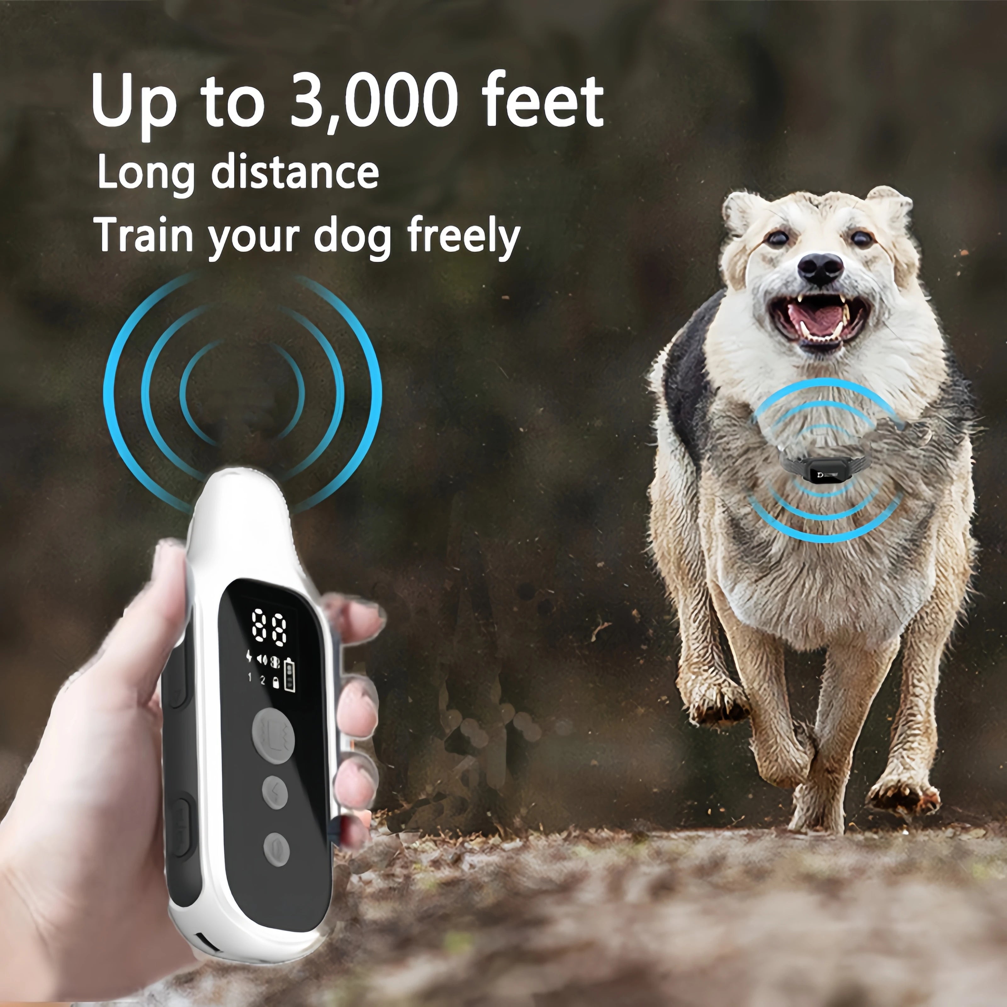 800m Waterproof Rechargeable Dog Training Collar with LCD Remote, Shock, Vibration & Sound Modes 800m Waterproof Rechargeable Dog Training Collar with LCD Remote, Shock, Vibration & Sound Modes