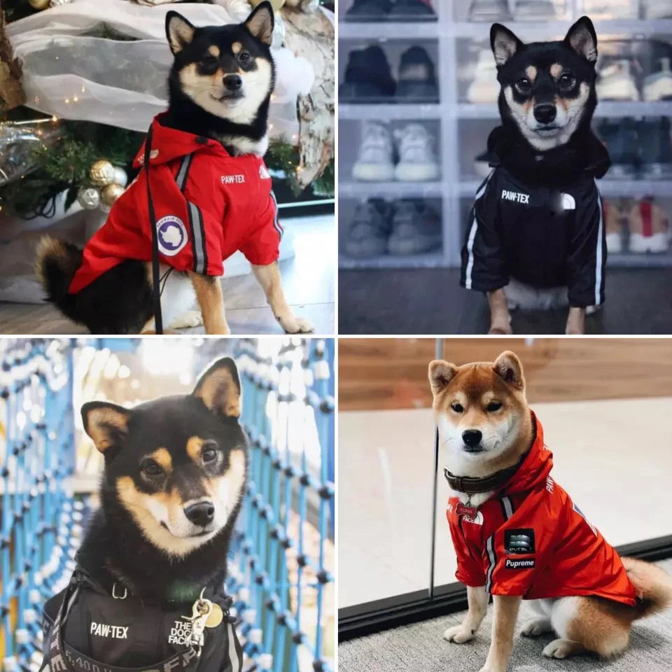 Waterproof Dog Jacket, Reflective Outdoor Pet Raincoat for Small to Large Dogs Waterproof Dog Jacket, Reflective Outdoor Pet Raincoat for Small to Large Dogs