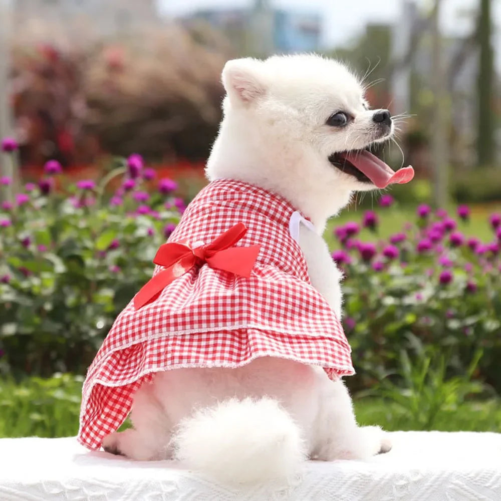 Summer Princess Dog Dress, Tutu Skirt Outfit for Small Dogs, Puppies & Cats Summer Princess Dog Dress, Tutu Skirt Outfit for Small Dogs, Puppies & Cats