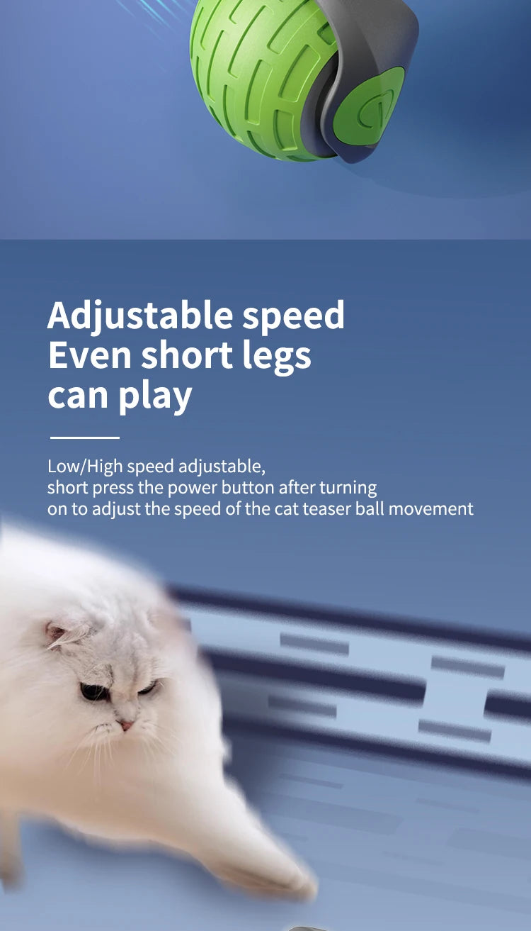 Speedy Tail 2.0 Automatic Interactive Cat Toy Ball with Replaceable Moving Tail Speedy Tail 2.0 Automatic Interactive Cat Toy Ball with Replaceable Moving Tail