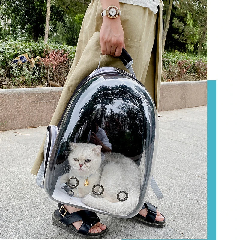 Foldable Portable Pet Carrying Handbag, Mesh Travel Cage for Small & Medium Dogs and Cats Foldable Portable Pet Carrying Handbag, Mesh Travel Cage for Small & Medium Dogs and Cats