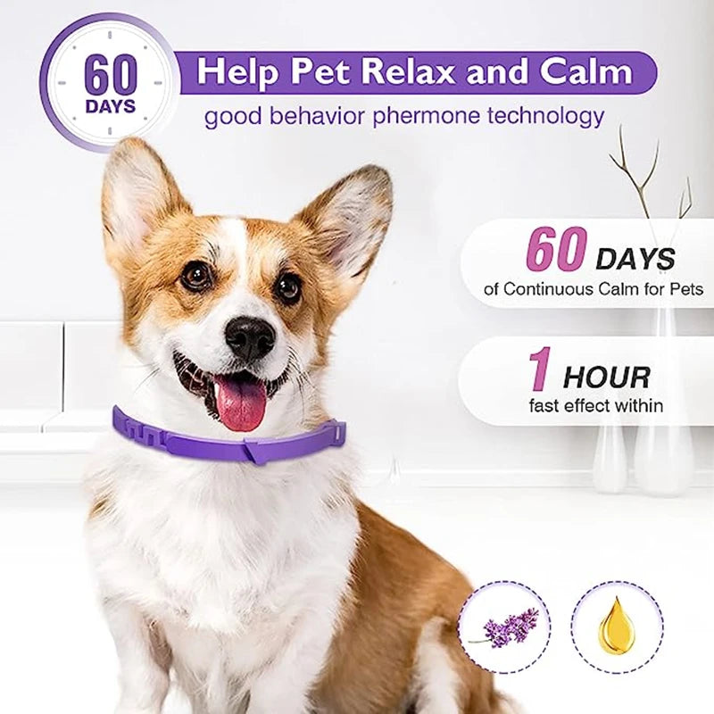 3/4 Pack Adjustable Calming Pheromone Collars for Dogs & Cats – Anxiety & Stress Relief 3/4 Pack Adjustable Calming Pheromone Collars for Dogs & Cats – Anxiety & Stress Relief