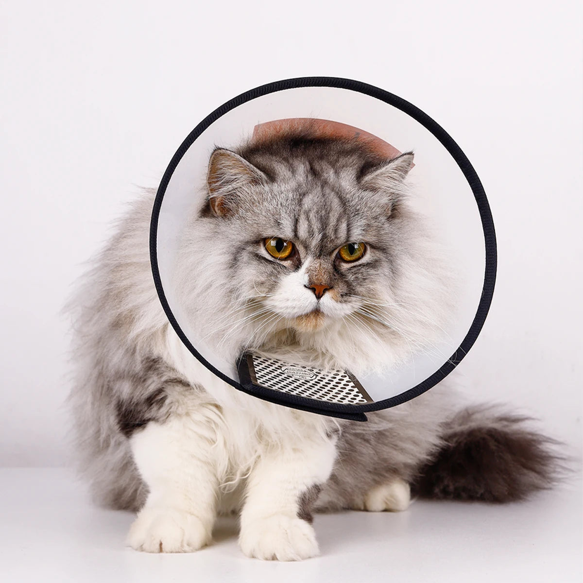 1pc Pet Elizabethan Collar — Protective, Anti-Lick, Post-Surgery Dog Cone 1pc Pet Elizabethan Collar — Protective, Anti-Lick, Post-Surgery Dog Cone