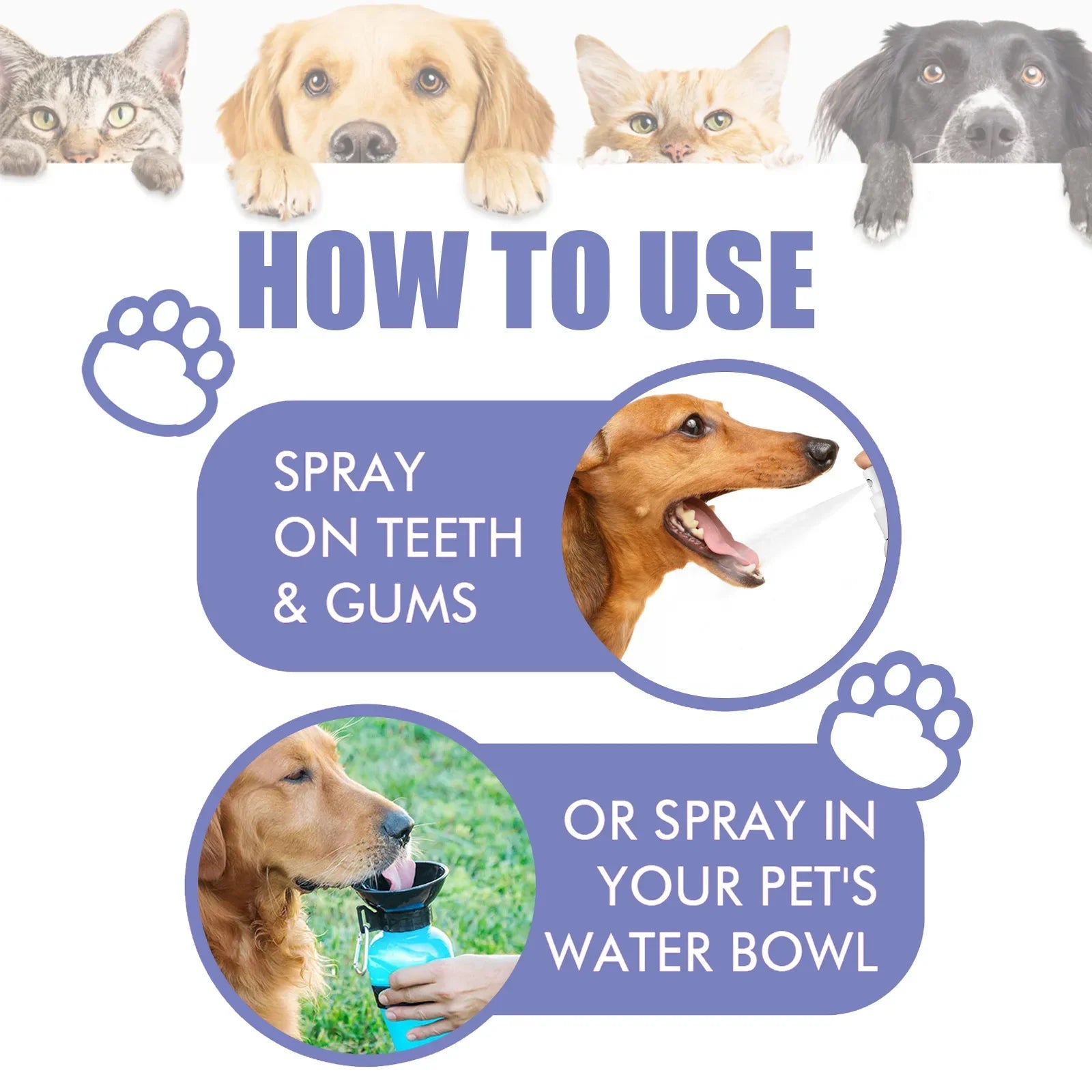 Pet Oral Cleanse Spray – Teeth Whitening, Fresh Breath & Plaque Prevention Spray for Dogs Pet Oral Cleanse Spray – Teeth Whitening, Fresh Breath & Plaque Prevention Spray for Dogs