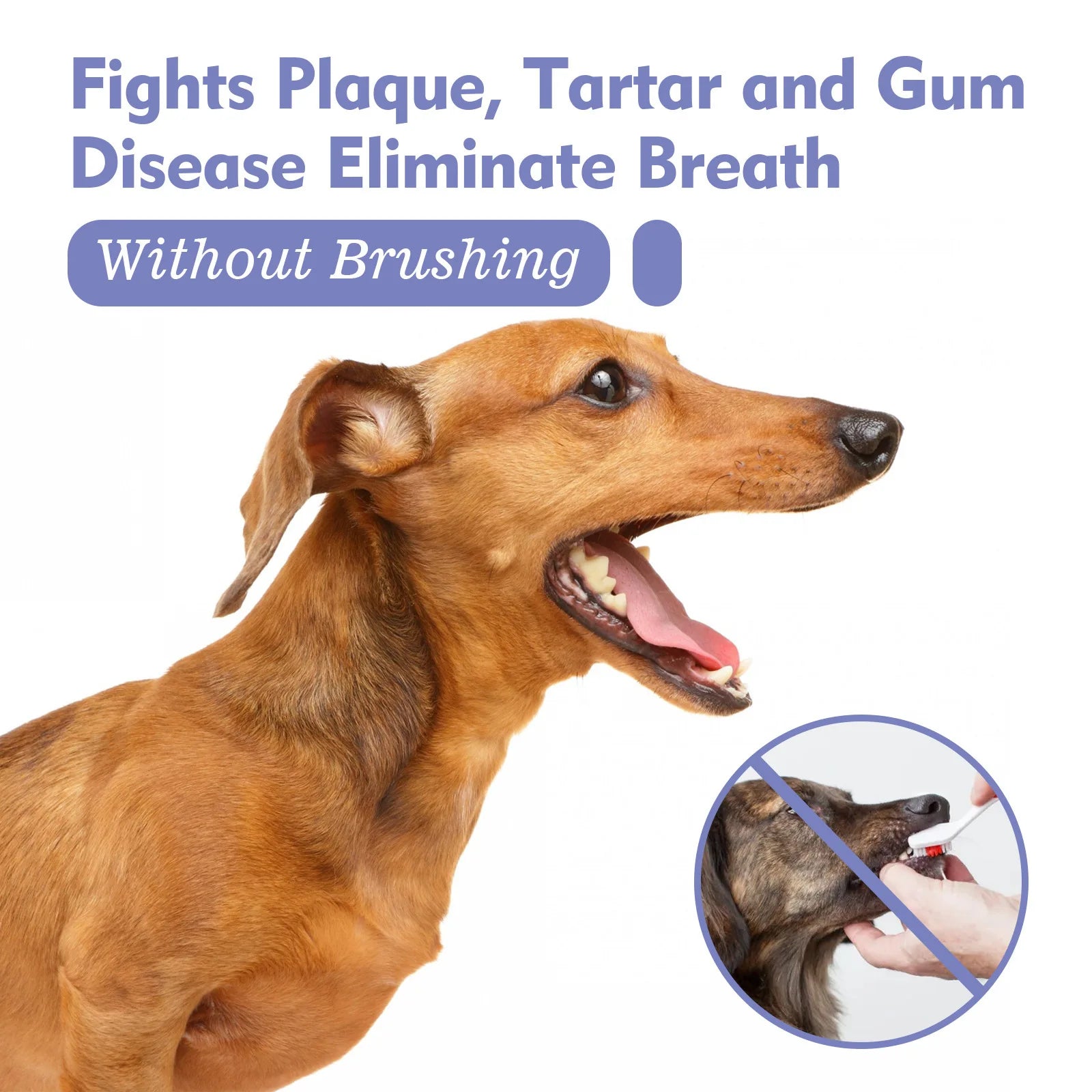 Pet Oral Cleanse Spray – Teeth Whitening, Fresh Breath & Plaque Prevention Spray for Dogs Pet Oral Cleanse Spray – Teeth Whitening, Fresh Breath & Plaque Prevention Spray for Dogs