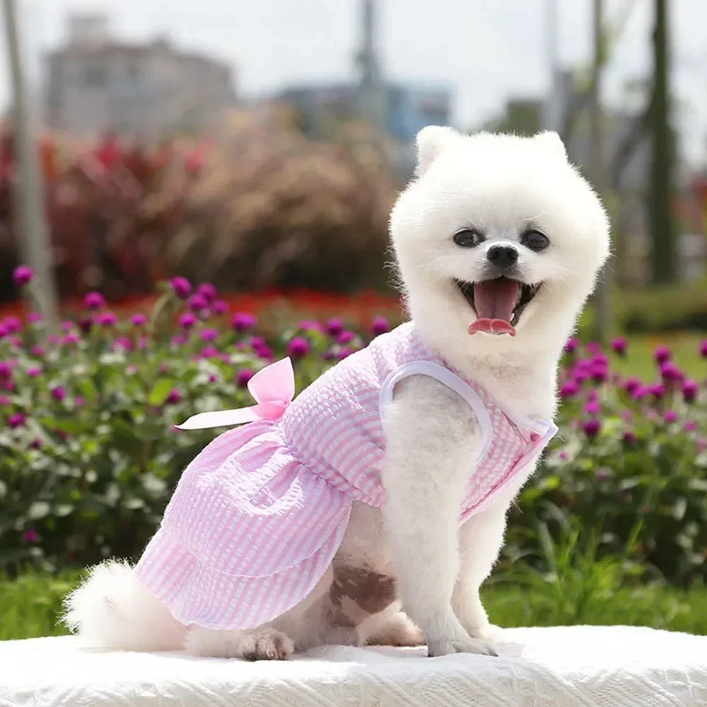 Summer Princess Dog Dress, Tutu Skirt Outfit for Small Dogs, Puppies & Cats Summer Princess Dog Dress, Tutu Skirt Outfit for Small Dogs, Puppies & Cats