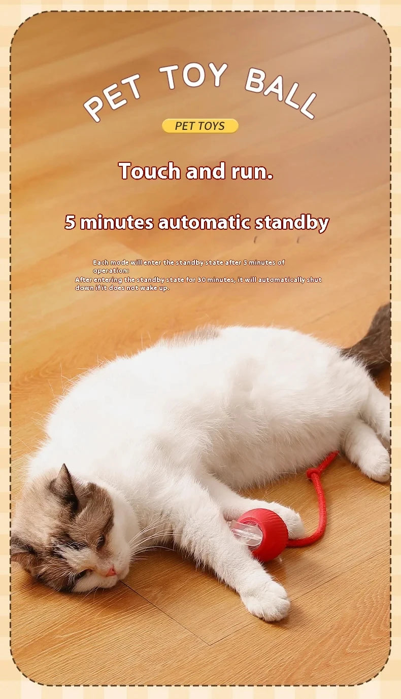 Rechargeable Smart Rolling Pet Toy Ball Rechargeable Smart Rolling Pet Toy Ball