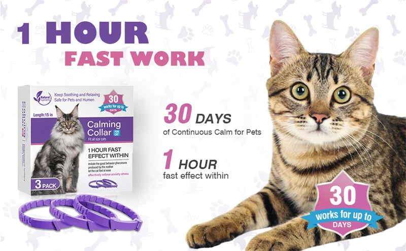 3/4 Pack Adjustable Calming Pheromone Collars for Dogs & Cats – Anxiety & Stress Relief 3/4 Pack Adjustable Calming Pheromone Collars for Dogs & Cats – Anxiety & Stress Relief