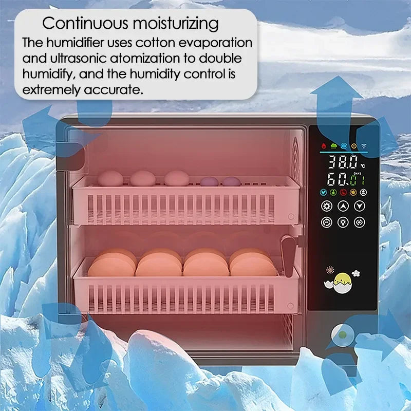 24 Egg Automatic Incubator with Digital Temperature Control for Poultry and Birds 24 Egg Automatic Incubator with Digital Temperature Control for Poultry and Birds