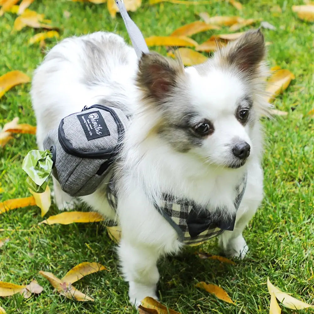 Portable Dog Training Treat Pouch, Outdoor Pet Snack Reward Bag with Poop Bag Holder Portable Dog Training Treat Pouch, Outdoor Pet Snack Reward Bag with Poop Bag Holder