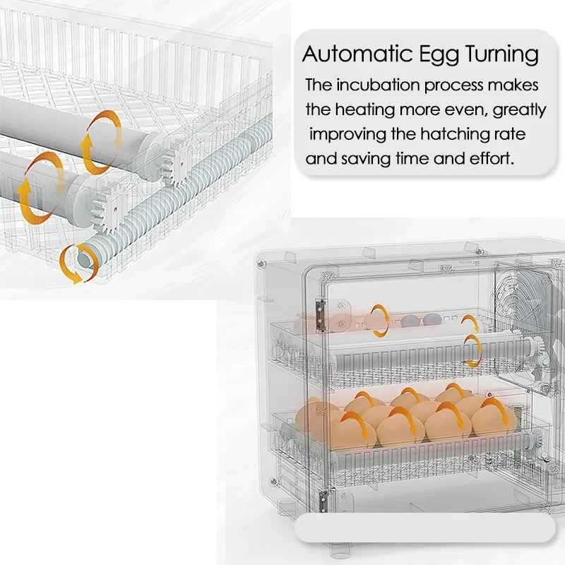 24 Egg Automatic Incubator with Digital Temperature Control for Poultry and Birds 24 Egg Automatic Incubator with Digital Temperature Control for Poultry and Birds