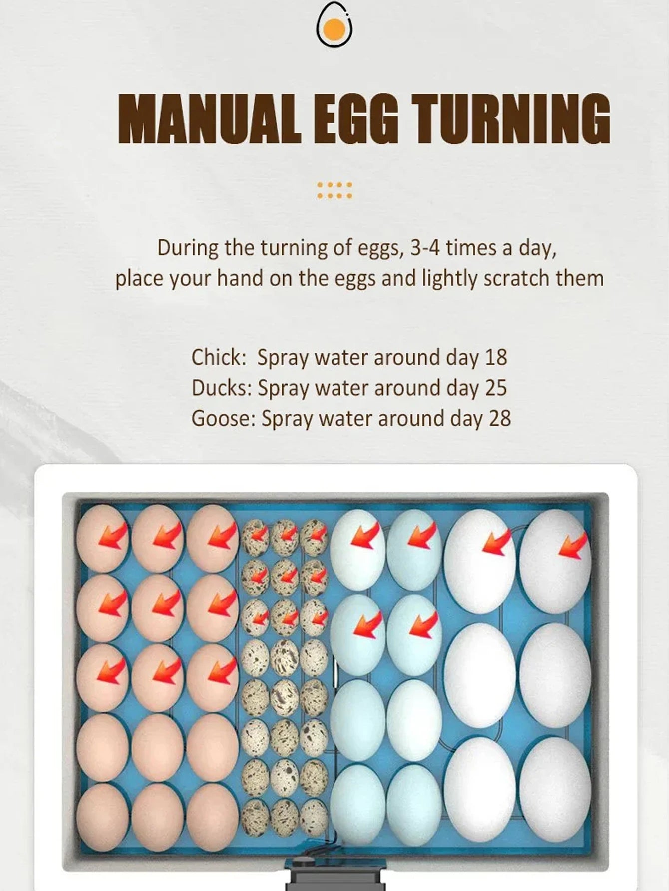 USB Poultry Incubator with Thermostat, Manual Turn, Bionic Waterbed & Egg Candler USB Poultry Incubator with Thermostat, Manual Turn, Bionic Waterbed & Egg Candler