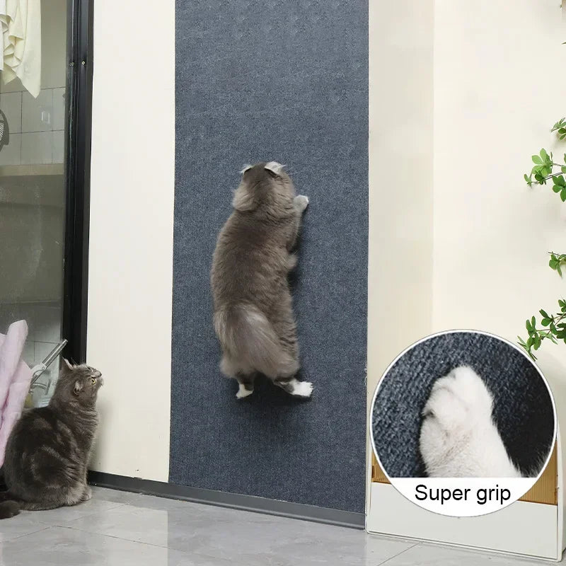 Self-Adhesive Cat Scratch Protector — Trimmable Sofa & Wall Shield Board Self-Adhesive Cat Scratch Protector — Trimmable Sofa & Wall Shield Board