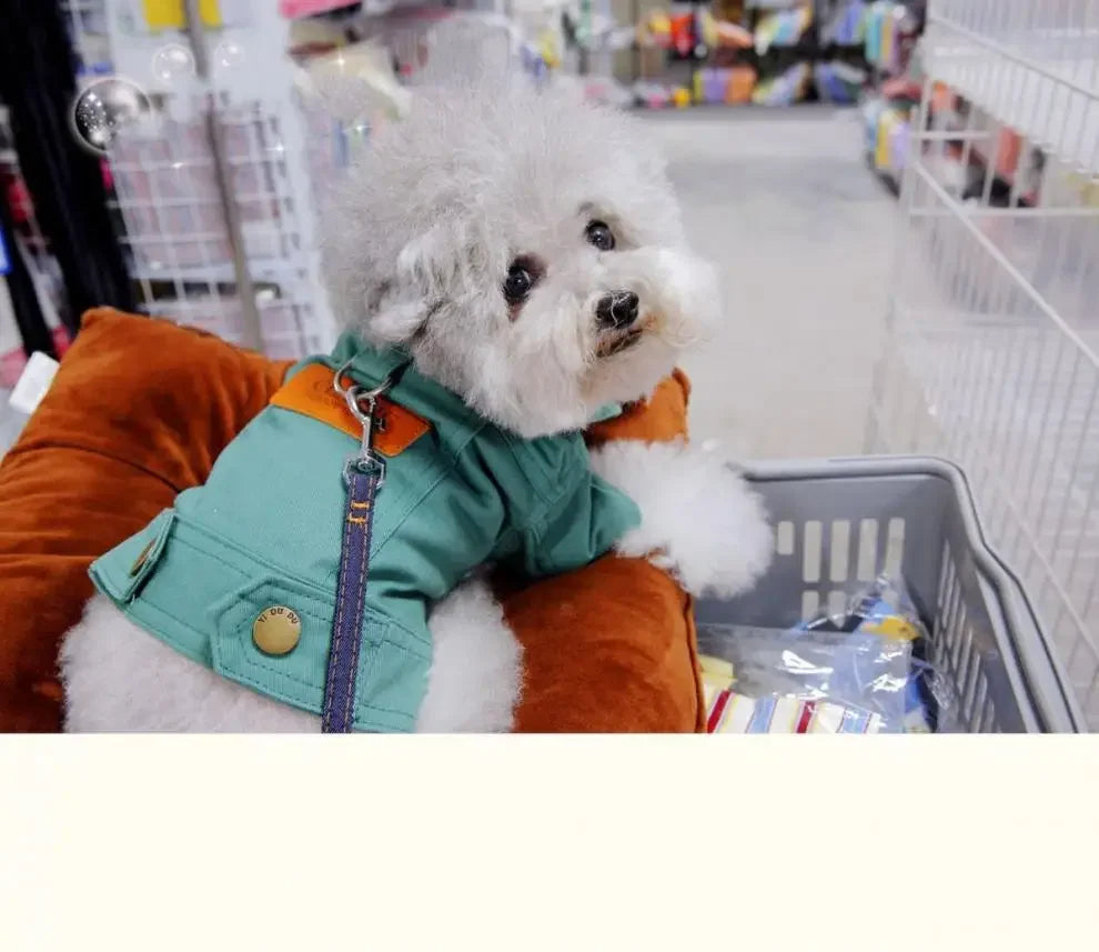 Dog Denim Jacket with Leash Ring, Spring & Summer Outfit for Small and Medium Dogs Dog Denim Jacket with Leash Ring, Spring & Summer Outfit for Small and Medium Dogs