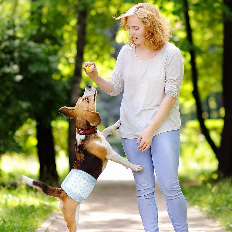 Super Absorbent Disposable Pet Diapers – Leakproof Dog & Cat Nappies for Male & Female Pets Super Absorbent Disposable Pet Diapers – Leakproof Dog & Cat Nappies for Male & Female Pets