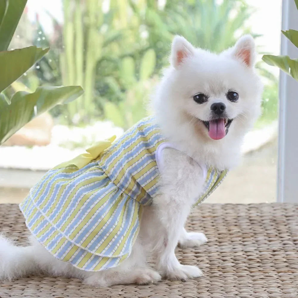 Summer Princess Dog Dress, Tutu Skirt Outfit for Small Dogs, Puppies & Cats Summer Princess Dog Dress, Tutu Skirt Outfit for Small Dogs, Puppies & Cats