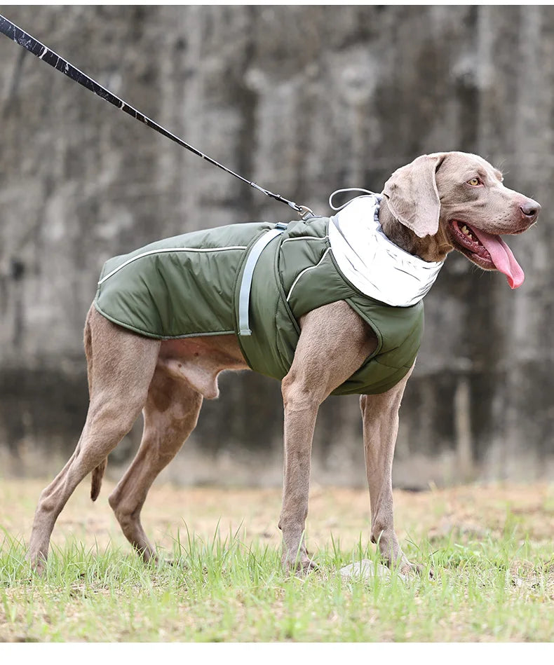 Luxury Winter Dog Jacket, Waterproof Padded Warm Coat with Reflective Safety Luxury Winter Dog Jacket, Waterproof Padded Warm Coat with Reflective Safety