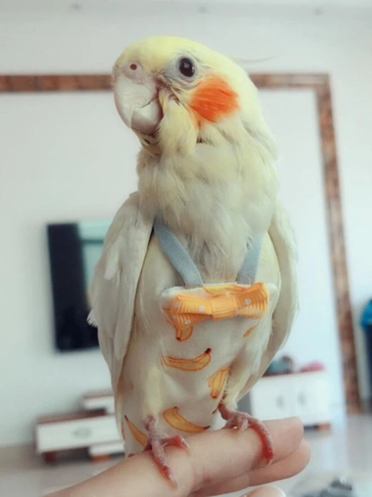 Colorful Parrot Diaper with Bowtie — Washable Flight Suit for Small to Large Pet Birds Colorful Parrot Diaper with Bowtie — Washable Flight Suit for Small to Large Pet Birds