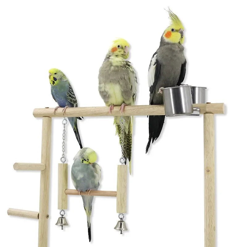Wooden Parrot Playstand Playground with Perch, Ladder, Feeder Plate & Toys for Cockatiels Wooden Parrot Playstand Playground with Perch, Ladder, Feeder Plate & Toys for Cockatiels
