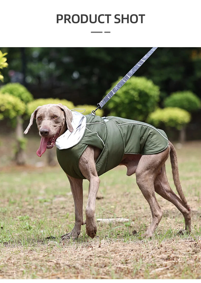 Luxury Winter Dog Jacket, Waterproof Padded Warm Coat with Reflective Safety Luxury Winter Dog Jacket, Waterproof Padded Warm Coat with Reflective Safety