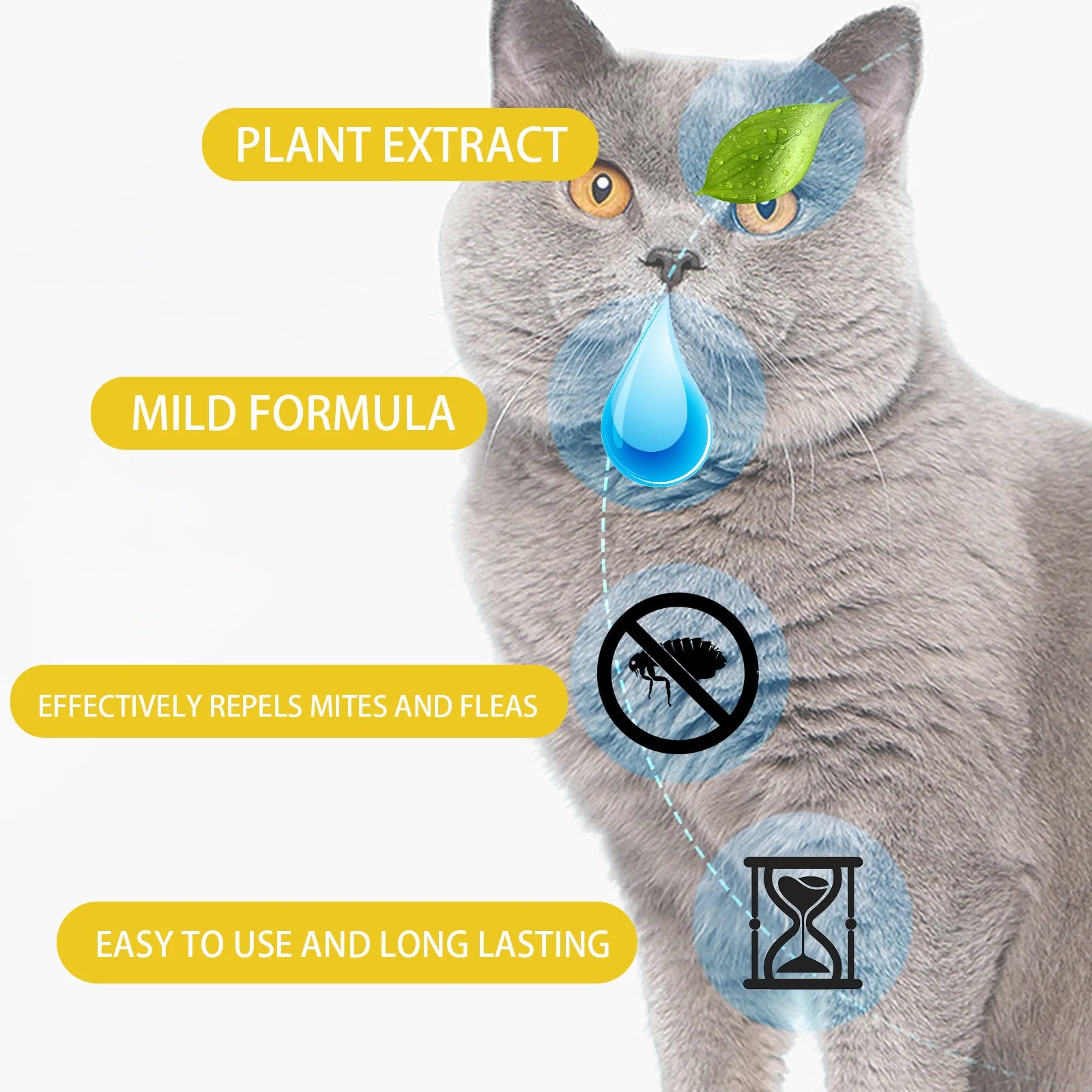 Cat Anti-Flea Drops – Flea, Lice & Tick Treatment for Skin Itching Relief and Insect Repellent Cat Anti-Flea Drops – Flea, Lice & Tick Treatment for Skin Itching Relief and Insect Repellent