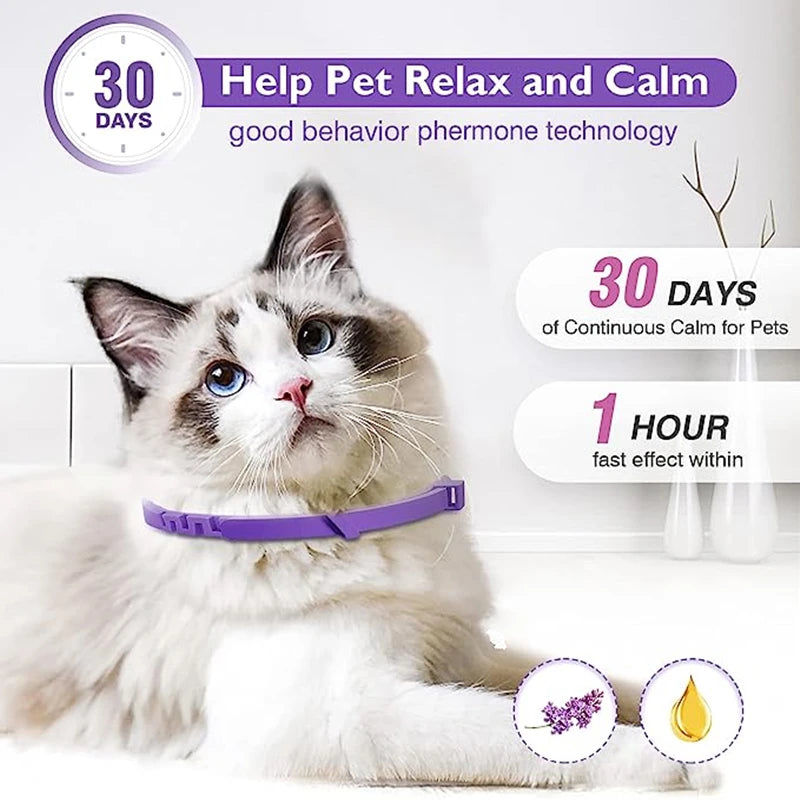 3/4 Pack Adjustable Calming Pheromone Collars for Dogs & Cats – Anxiety & Stress Relief 3/4 Pack Adjustable Calming Pheromone Collars for Dogs & Cats – Anxiety & Stress Relief