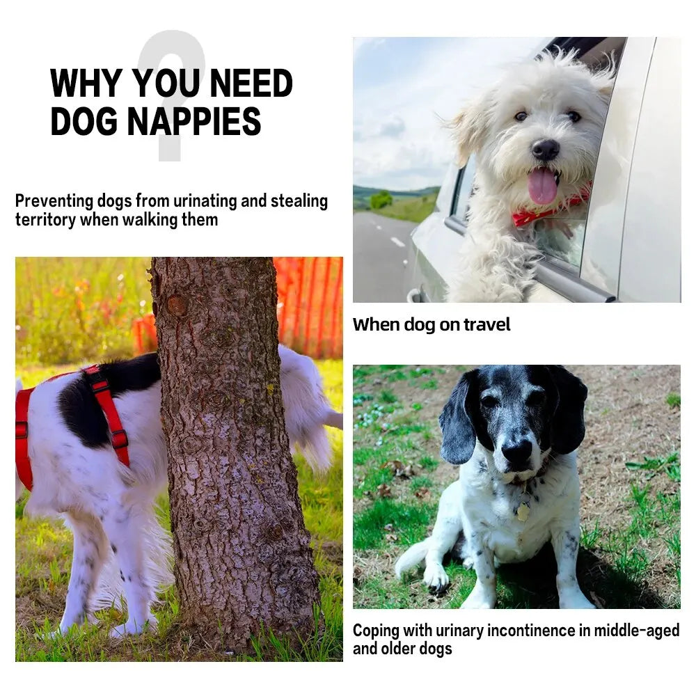 Washable Belly Band for Male Dogs – High-Absorbency, Reusable Dog Diaper Wrap Washable Belly Band for Male Dogs – High-Absorbency, Reusable Dog Diaper Wrap