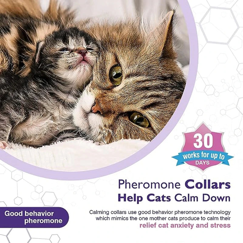 3/4 Pack Adjustable Calming Pheromone Collars for Dogs & Cats – Anxiety & Stress Relief 3/4 Pack Adjustable Calming Pheromone Collars for Dogs & Cats – Anxiety & Stress Relief