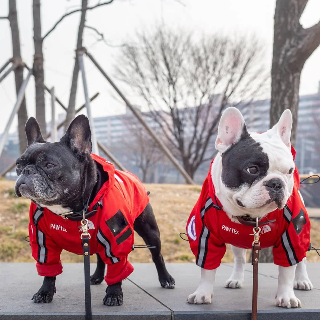 Waterproof Dog Jacket, Reflective Outdoor Pet Raincoat for Small to Large Dogs Waterproof Dog Jacket, Reflective Outdoor Pet Raincoat for Small to Large Dogs