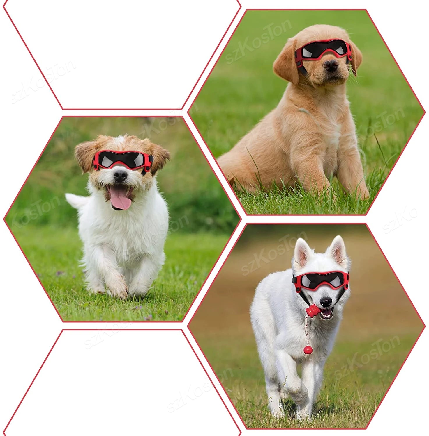 Adjustable Dog Goggles – UV Protection Sunglasses for Small & Medium Breed Dogs Adjustable Dog Goggles – UV Protection Sunglasses for Small & Medium Breed Dogs