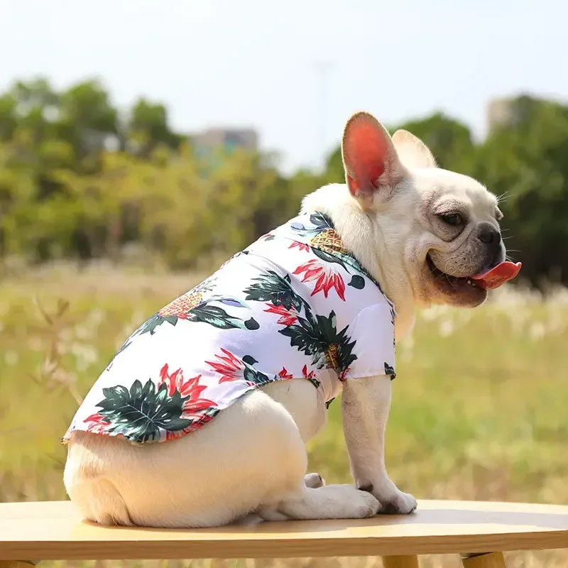 Hawaiian Style Summer Dog Shirt, Beachwear for Small & Medium Dogs, Puppies, and Cats Hawaiian Style Summer Dog Shirt, Beachwear for Small & Medium Dogs, Puppies, and Cats