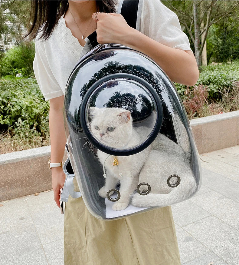 Foldable Portable Pet Carrying Handbag, Mesh Travel Cage for Small & Medium Dogs and Cats Foldable Portable Pet Carrying Handbag, Mesh Travel Cage for Small & Medium Dogs and Cats