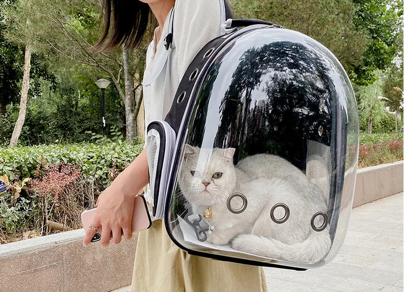 Foldable Portable Pet Carrying Handbag, Mesh Travel Cage for Small & Medium Dogs and Cats Foldable Portable Pet Carrying Handbag, Mesh Travel Cage for Small & Medium Dogs and Cats
