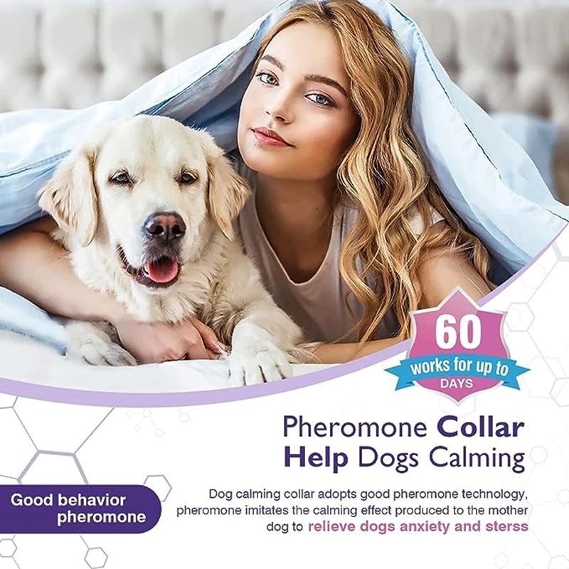 3/4 Pack Adjustable Calming Pheromone Collars for Dogs & Cats – Anxiety & Stress Relief 3/4 Pack Adjustable Calming Pheromone Collars for Dogs & Cats – Anxiety & Stress Relief